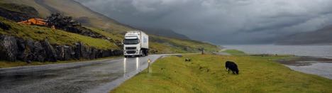 Volvo Trucks tog 53 procent af de tunge p Frerne