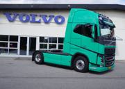 750 heste ruller sig ud i rampelyset